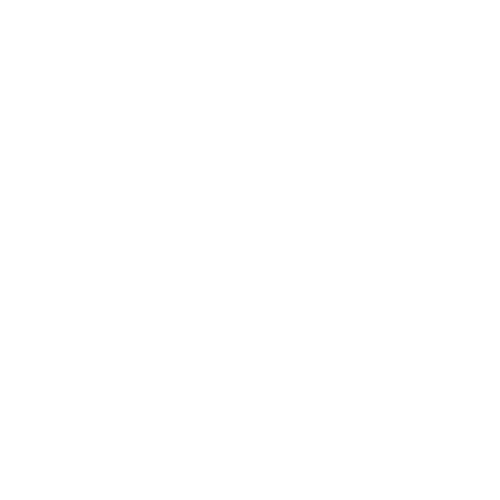 Eve Micro Enterprises